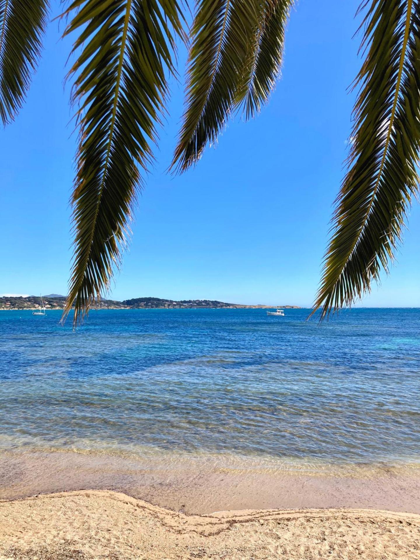 Appartement Coup De Coeur Centre Village Et Plage Climatise 3 Etoiles Terra Cigala Bandol Luaran gambar